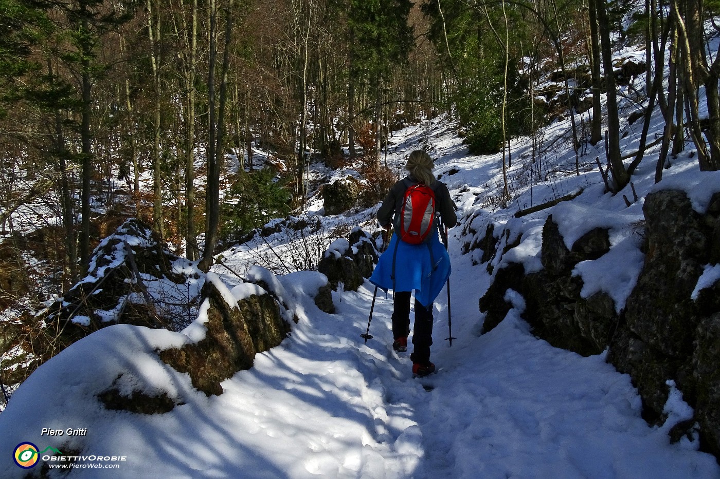 20 Entriamo nel bosco.JPG -                                